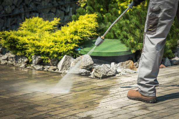 Animal Enclosure Cleaning in Wichita, KS