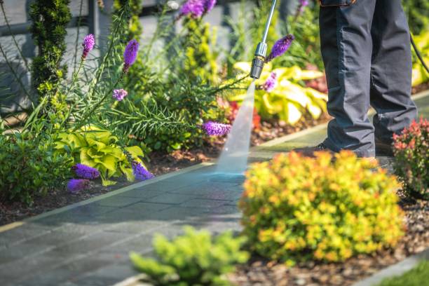 Best Dumpster Area Cleaning  in Wichita, KS